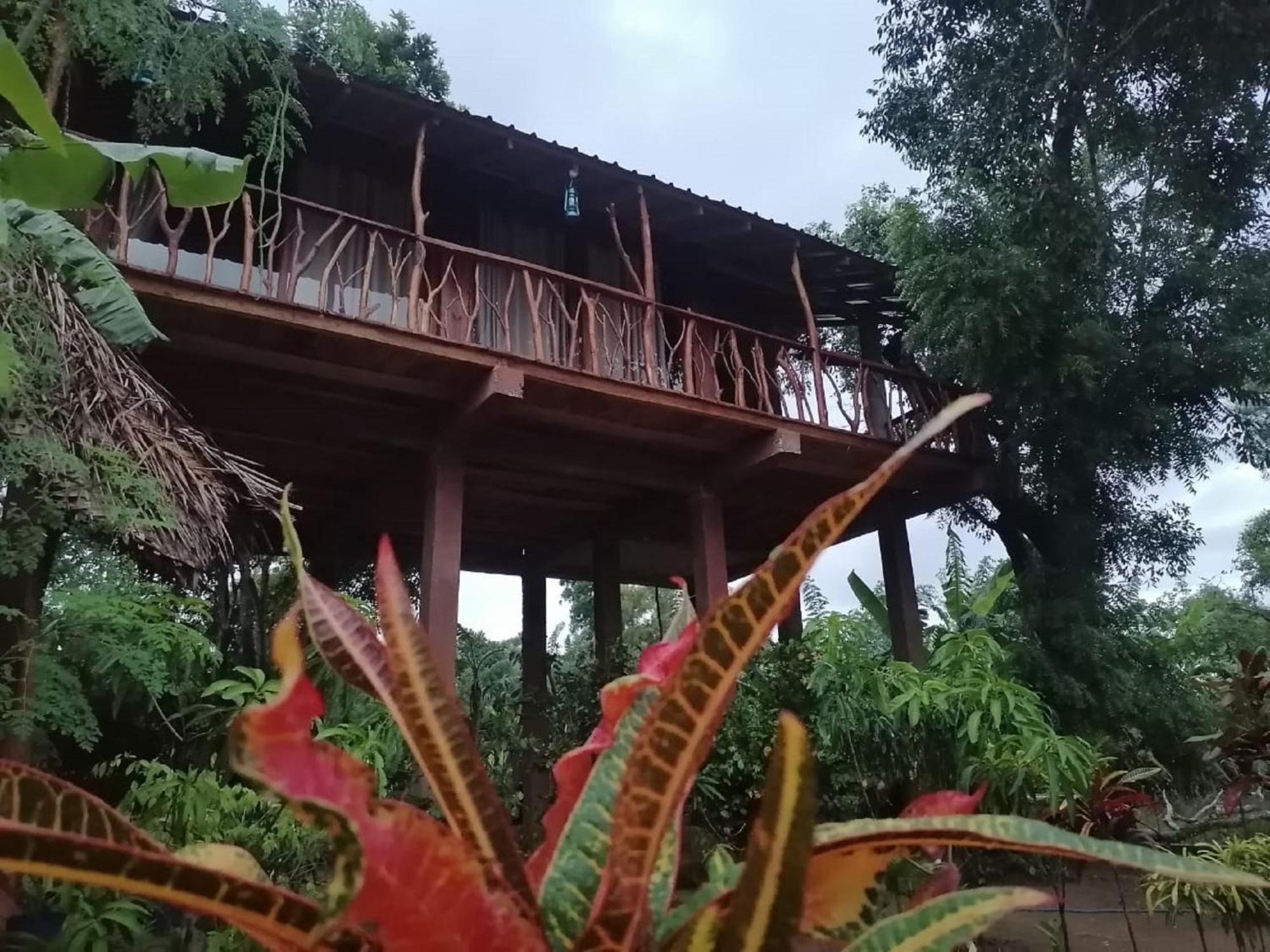 Sigiriya Rock View Tree House Villa Exterior photo